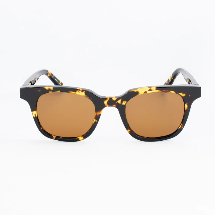 Belstaff Unisex Γυαλιά Ηλίου με Καφέ Ταρταρούγα Κοκκάλινο Σκελετό και Καφέ Φακό BOORMAN-S030