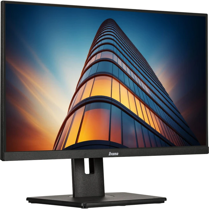 Iiyama ProLite XUB2492HSU-B6 24" (1920x1080) FHD IPS 100Hz 0.4ms HDMI DP USB Pivot Black