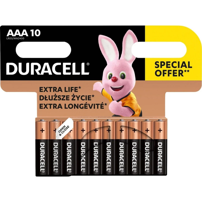 Duracell Basic Alkaline AAA Batteries 1.5V - 10 pcs (MN2400 / LR03, DUR20366)