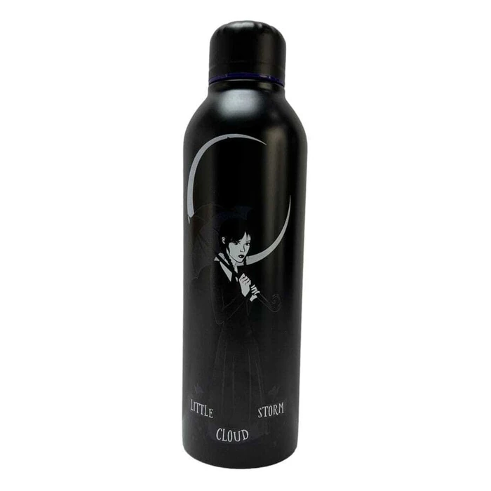 Wednesday - Steel Bottle 700ml (Purple) - Blue Sky
