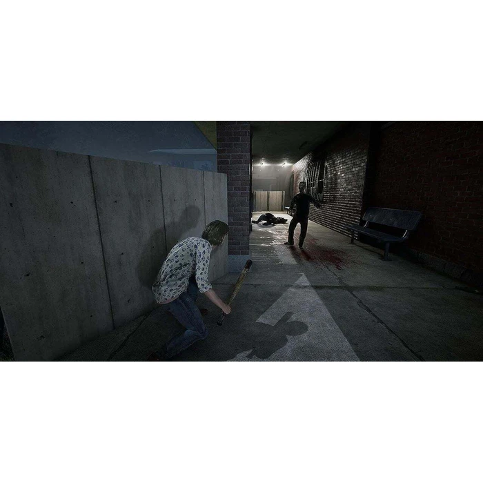 MAXIMUM GAMES Παιχνίδι Nintendo Switch The Walking Dead Destinies Code in a Box