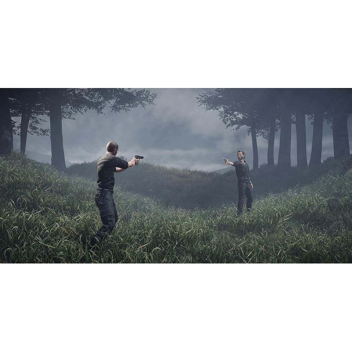 MAXIMUM GAMES Παιχνίδι Nintendo Switch The Walking Dead Destinies Code in a Box