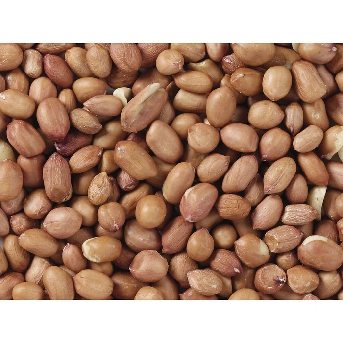 Deli Nature Bird Food Premium 3 Kg