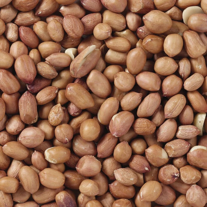 Deli Nature Bird Food Premium 3 Kg