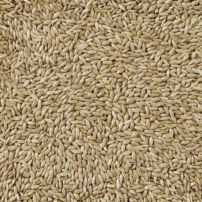 Deli Nature Bird Food Premium 5 kg