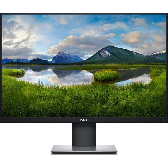 Computer Monitor Dell P2421 IPS 24 1 inch FHD 1920x1200 5ms GTG