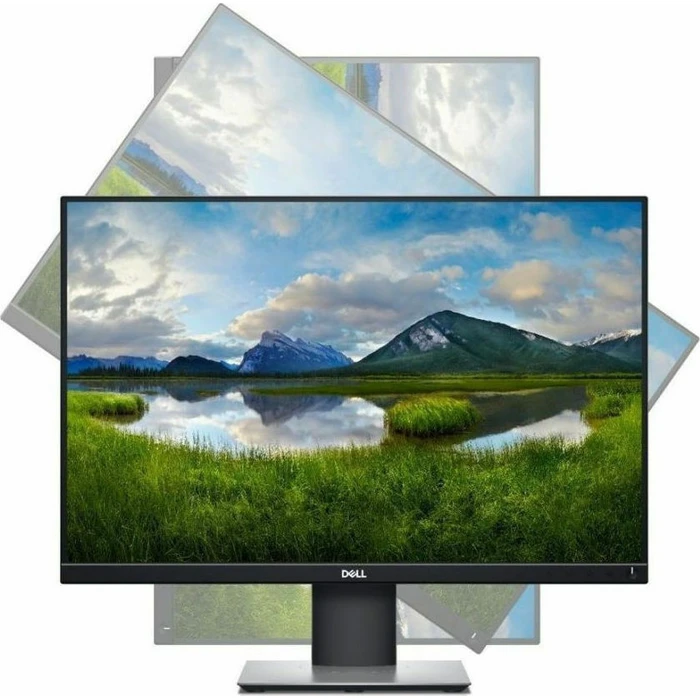 Computer Monitor Dell P2421 IPS 24 1 inch FHD 1920x1200 5ms GTG