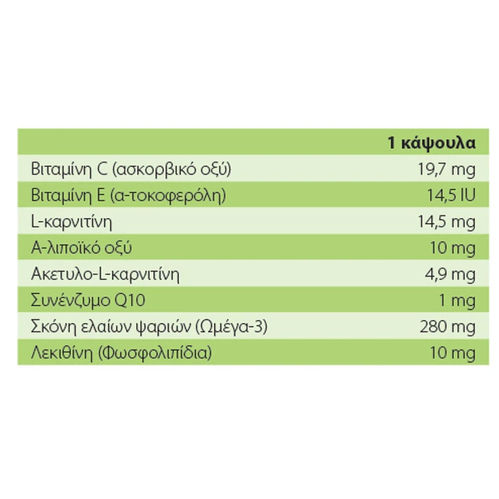 Vetfood Συμπλήρωμα Διατροφής Σκύλου και Γάτας σε Δισκία για Ενίσχυση Εγκεφαλικής Λειτουργίας