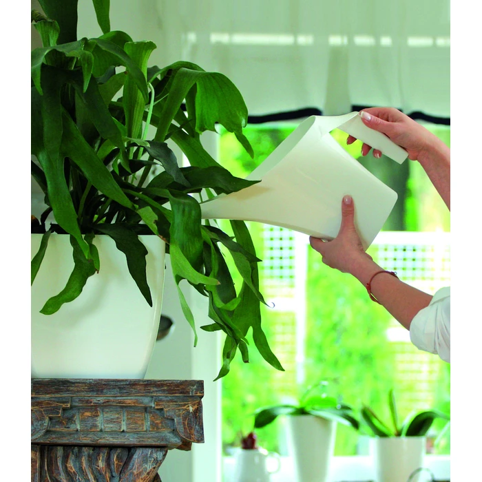 Prosperplast IDUKON2-S449 Plastic Watering Can 2 L White