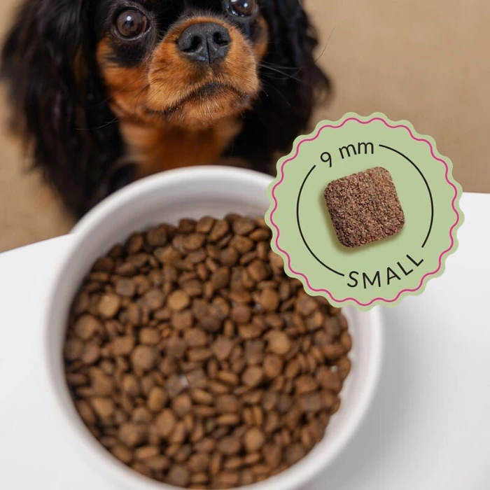 Dog Food 2.5kg Grain-Free Dry Food for Small-Breed Puppies with Beef