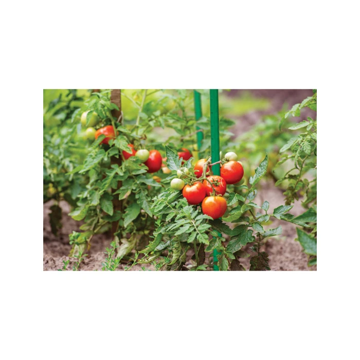 Bradas Βέργα Στήριξης Φυτών 11 mm x 150 cm από Ατσάλι με Πλαστική Επίστρωση (TYP11150)