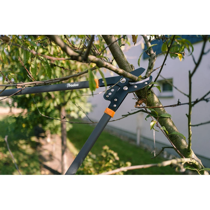 Bradas KT-V1221 Ψαλίδι Κλάδου 81cm για Κλαδιά έως 50mm