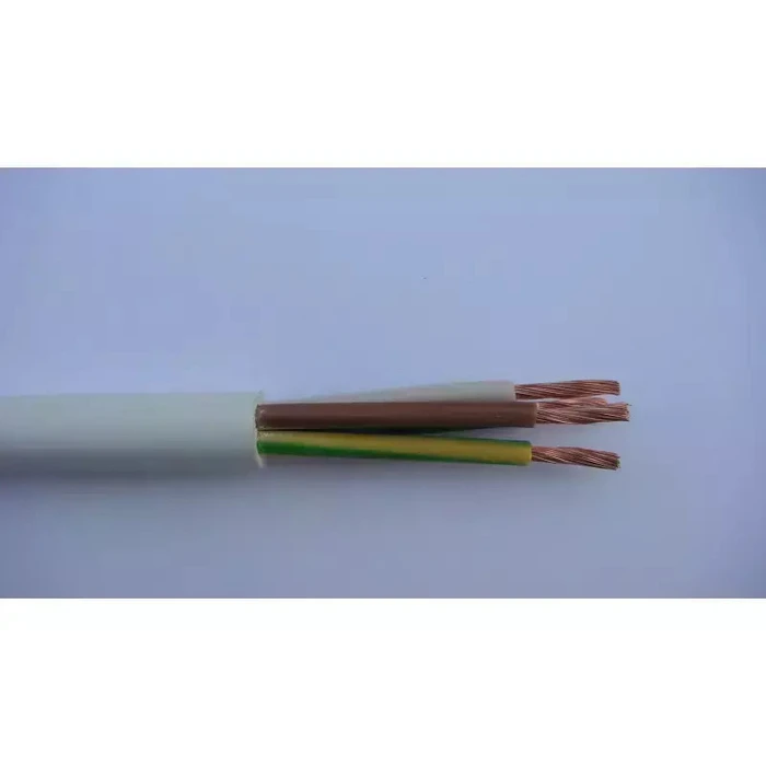 OMY 3x1 mm² Stranded Electric Cable 300V 100m - Elektrokabel