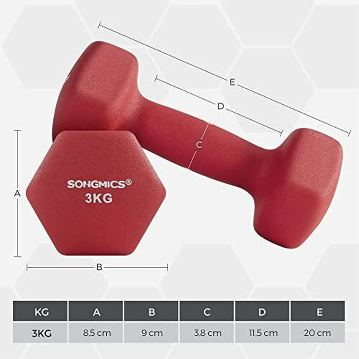 SONGMICS Αλτήρες Σετ 2 3 κιλών Κόκκινο SYL66RD