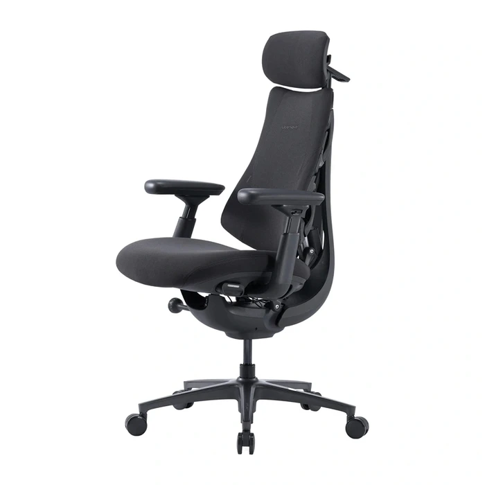 LiberNovo OC1-PRO Office Chair with Adjustable Arms, Graphite
