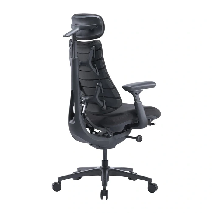 LiberNovo OC1-PRO Office Chair with Adjustable Arms, Graphite