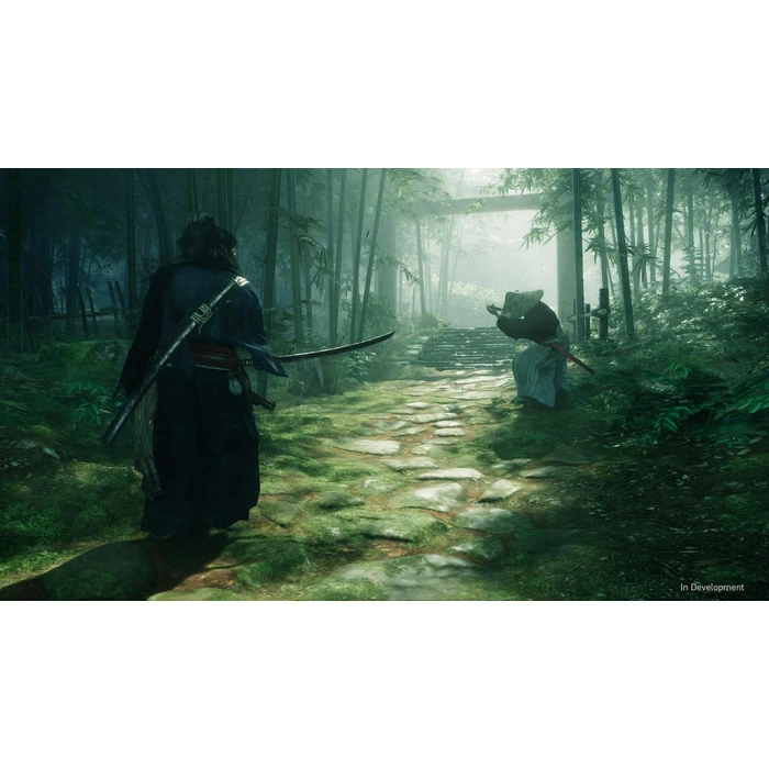 Sony Παιχνίδι PS5 Rise of the Ronin