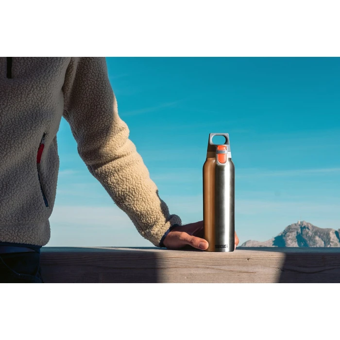 SIGG Ανοξείδωτο Παιδικό Παγούρι Θερμός 550ml Ασημί (SG8998.20)