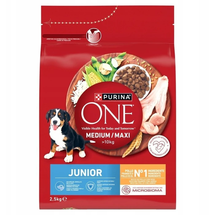 Purina ONE 2.5kg Dry Food for Puppies with Chicken & Rice