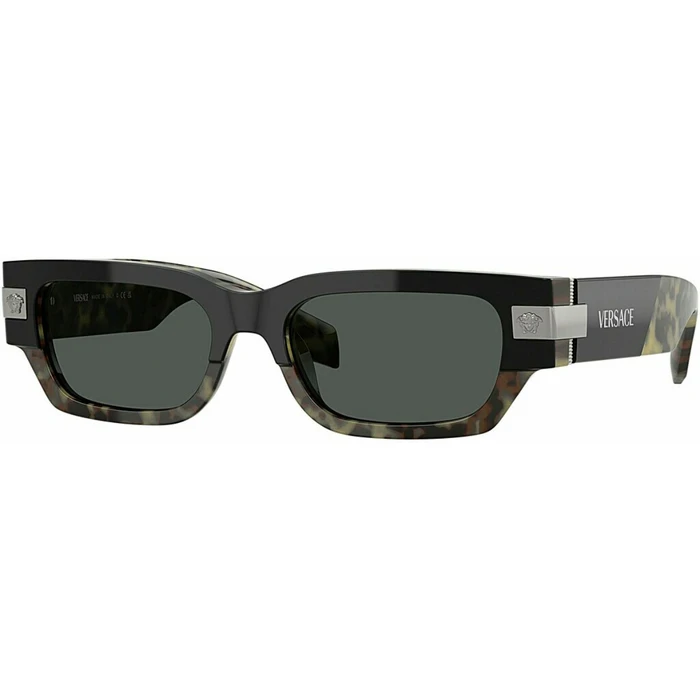 Versace Γυαλιά Ηλίου VE4465-545687 Καφέ Ταρταρούγα Κοκκάλινος Σκελετός, Γκρι Φακοί 54/18/140