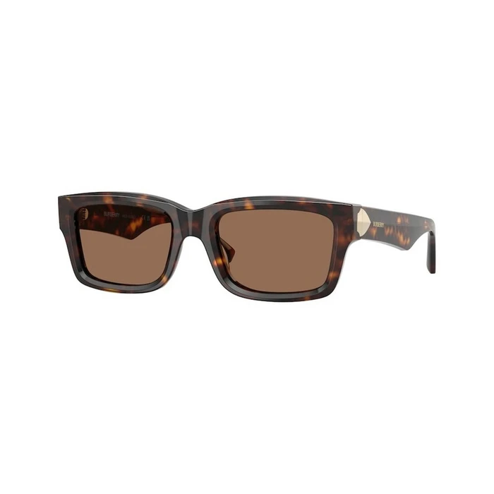 Γυαλιά Ηλίου Burberry BE4443-300273 Γυναικεία Καφέ Ταρταρούγα Κοκκάλινο Σκελετό 55/20/145