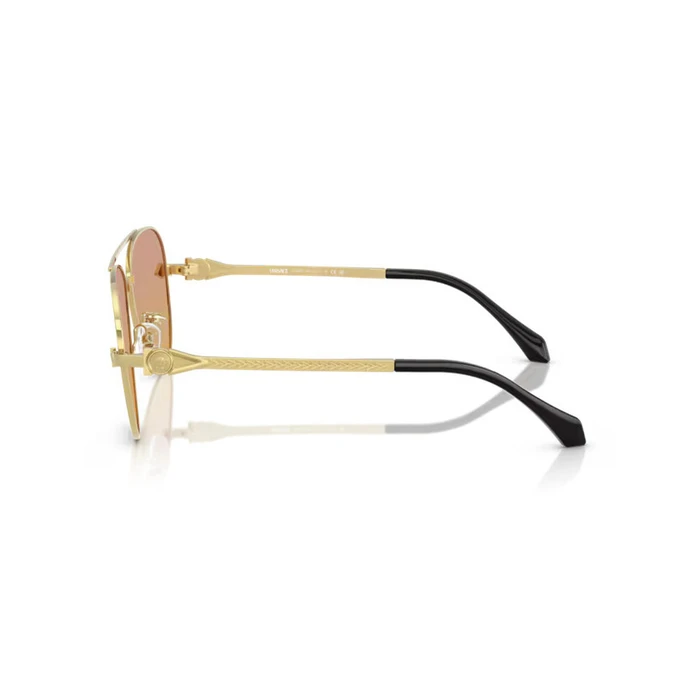Versace Unisex Γυαλιά Ηλίου με Χρυσό Μεταλλικό Σκελετό VE2283-1002EL