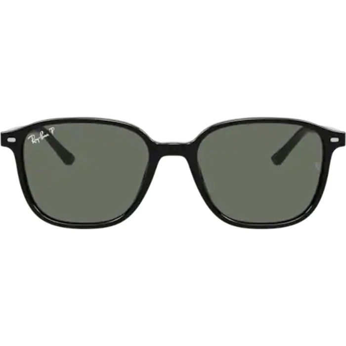 Ray Ban Leonard Unisex Γυαλιά Ηλίου με Μαύρο Κοκκάλινο Σκελετό και Πράσινο Polarized Φακό RB2193 901/58
