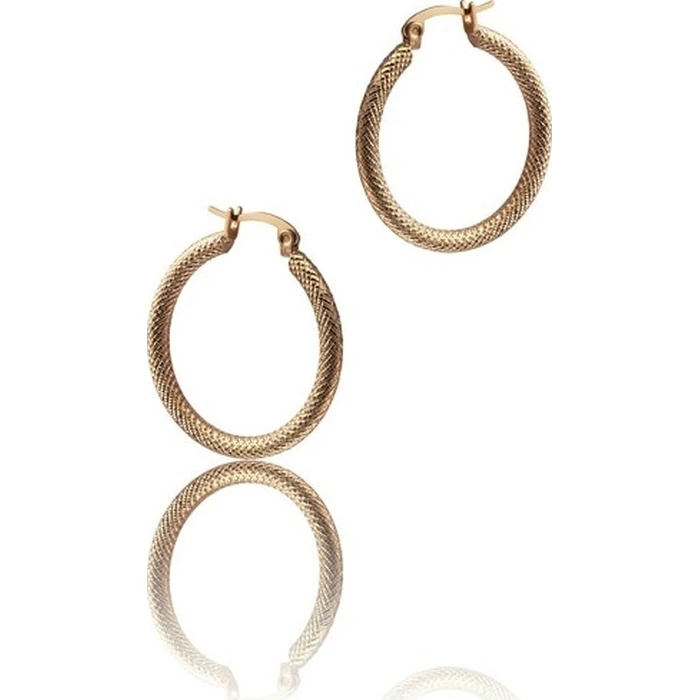 Time Force Hoop Earrings Stainless Steel Gold-Plated TS5147PR
