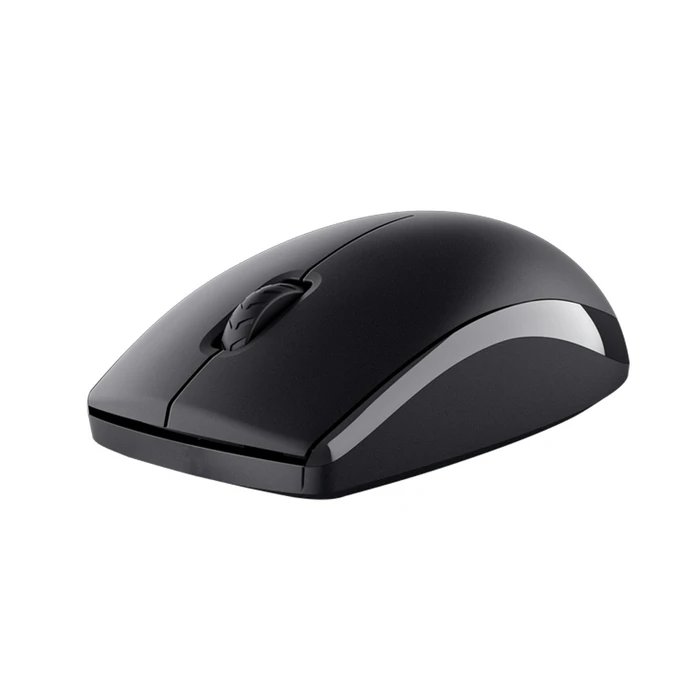 Trust Keyboard and Mouse Primo Wireless Deskset GR 25450