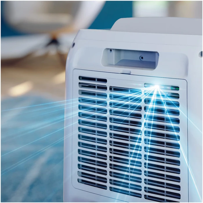 Αφυγραντήρας & Καθαριστής Αέρα Philips DE3306/11