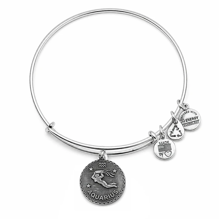 Γυναικείο Βραχιόλι Alex and Ani A07EB40AQRS