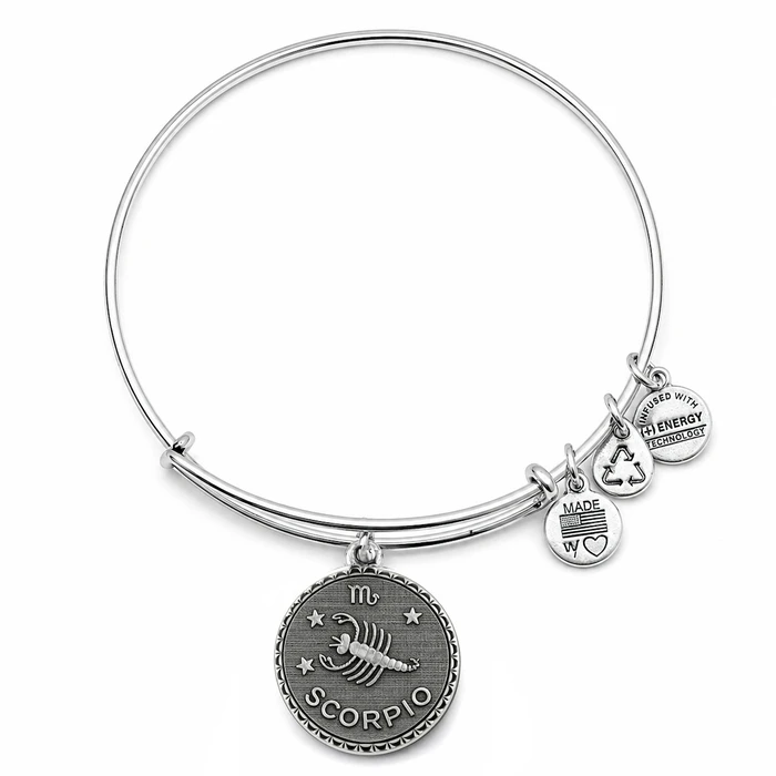 Alex and Ani Women's Bracelet A07EB40SCRS