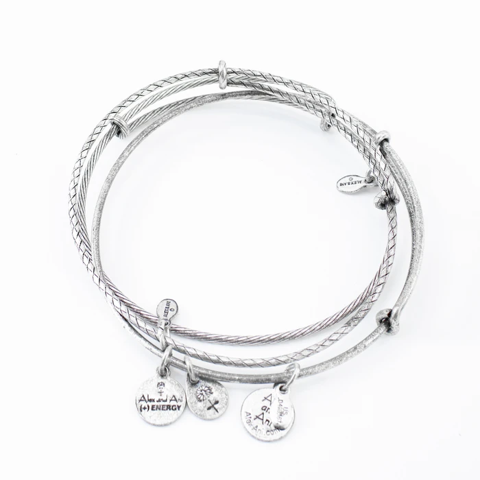 Alex and Ani Women's Bracelet Set — A09EB150RS (19-25 cm)