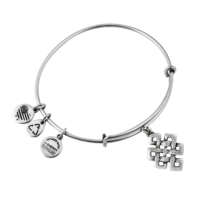 Women's Bracelet Alex and Ani A10EB142RS