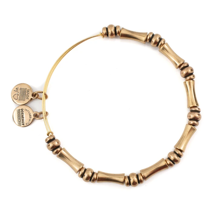 Women's Gold-Plated Bracelet Alex and Ani BBEB110RG 20 cm