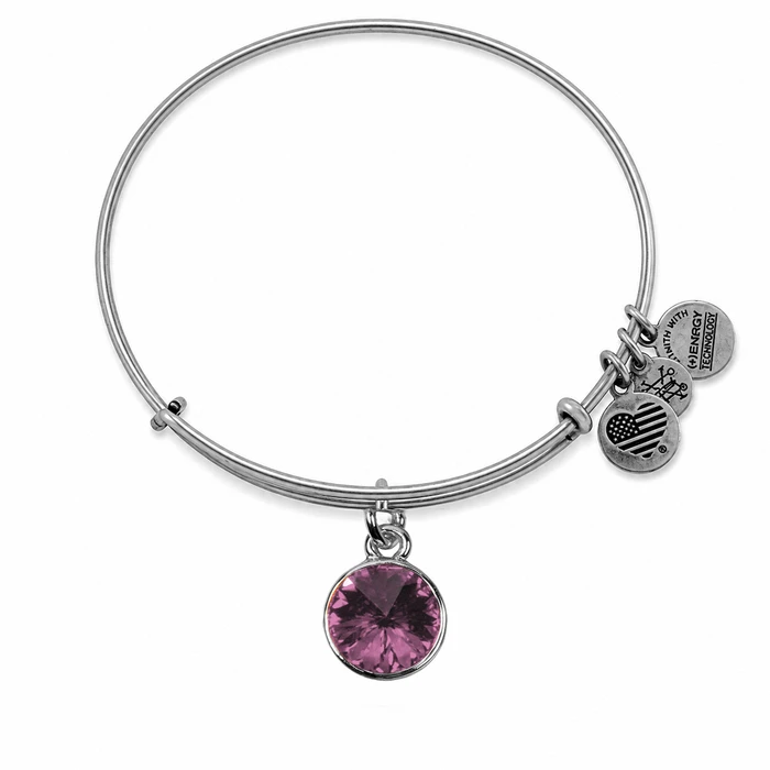 Women's Bracelet Alex and Ani A12EB245RS (Purple)