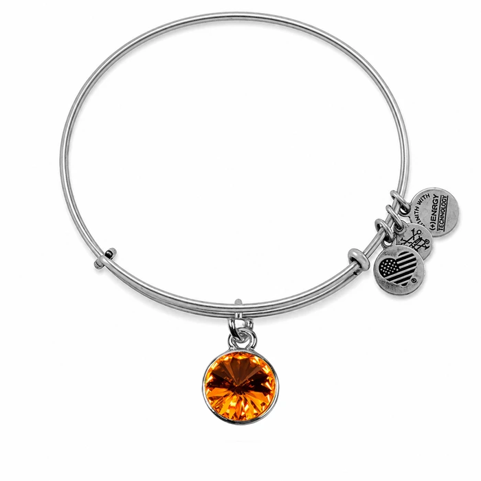 Women's Gold-Plated Bracelet Alex and Ani A12EB250RS