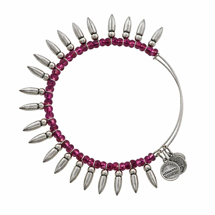 Alex and Ani Women's Bracelet A12EB88RS (Purple)