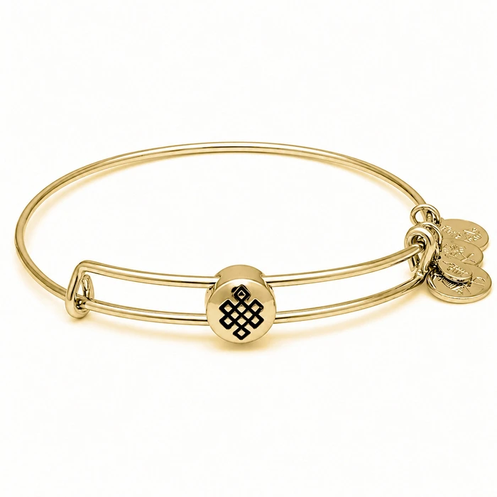 Women's Gold-Plated Bracelet Alex and Ani 20 cm (SSEWB06G)