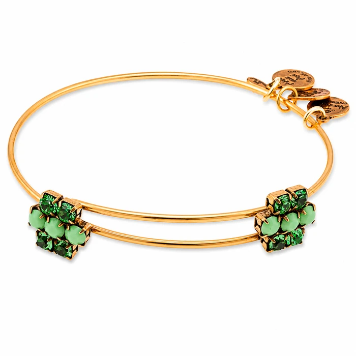 Alex and Ani Γυναικείο Επιχρυσωμένο Βραχιόλι 20 cm - A13EB75RG
