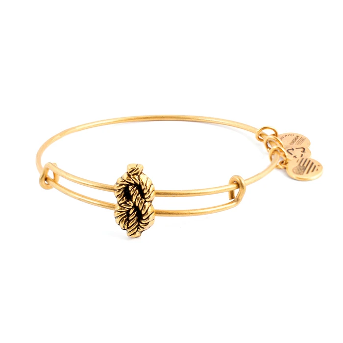 Women's Gold-Plated Bracelet 20cm – Alex and Ani (A15EB12RG)
