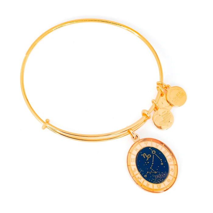 Γυναικείο Βραχιόλι Επιχρυσωμένο 20 cm Alex and Ani A15EB61YG