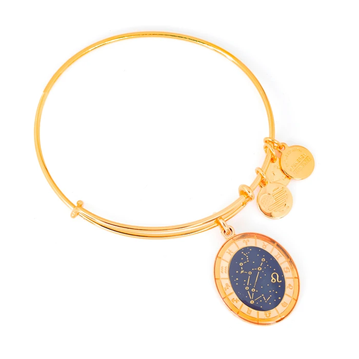 Women's Gold-Tone Bracelet Alex and Ani 20cm (A15EB63YG)
