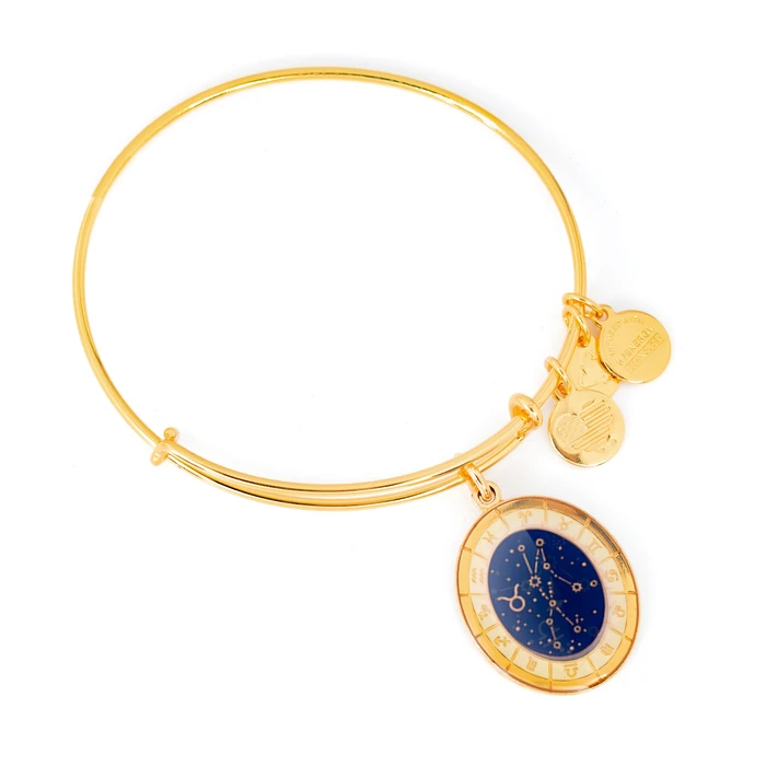 Γυναικείο Βραχιόλι Επιχρυσωμένο 20 cm - Alex and Ani A15EB68YG