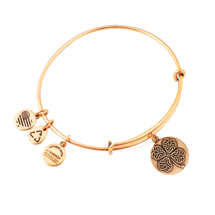 Alex and Ani Women's Gold Plated Bracelet 20 cm (A16EBFLCRG)
