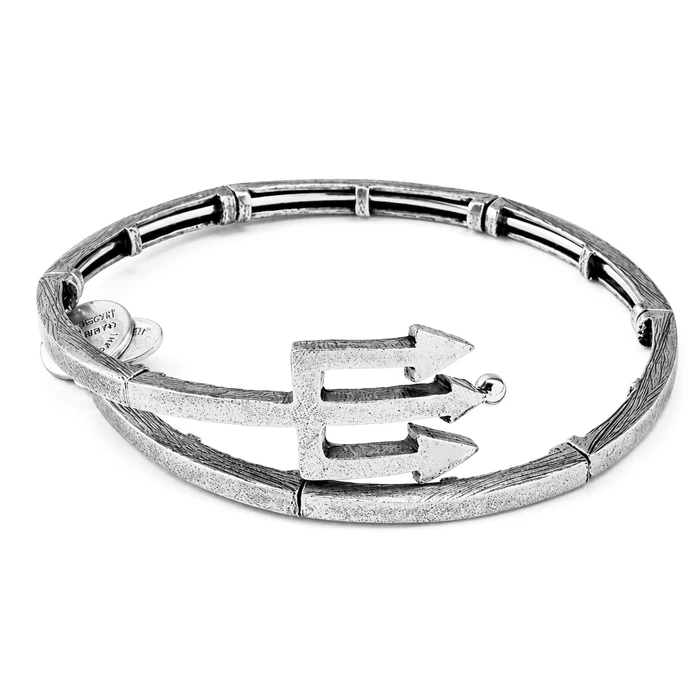 Γυναικείο βραχιόλι Alex and Ani V16W30RS 20cm