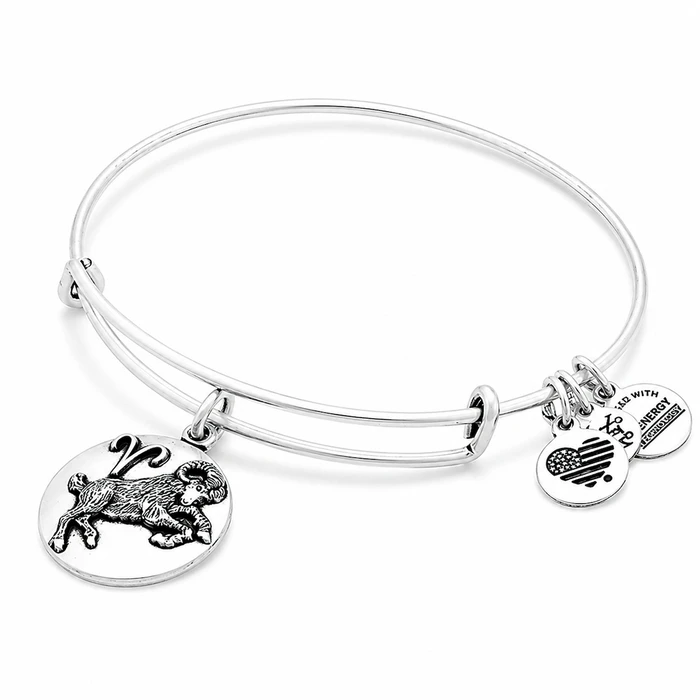 Γυναικείο βραχιόλι Alex and Ani A16EB50RS — 20 cm, μεταλλικό, Aries bracelet (3 φινιρίσματα), γκρι