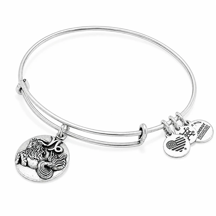 Γυναικείο Βραχιόλι 20cm A16EB51RS - Alex and Ani