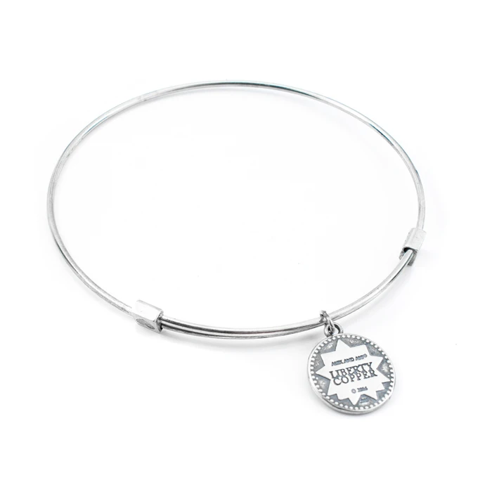 Γυναικείο Βραχιόλι Alex and Ani LC16EB02S 20 cm