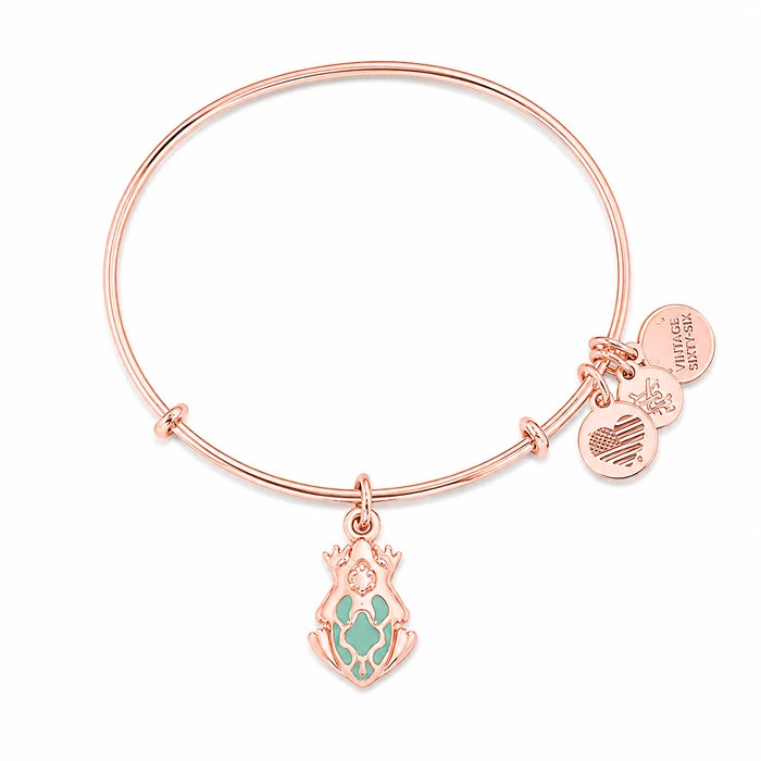 Alex and Ani Γυναικείο Βραχιόλι Επιχρυσωμένο 20cm - A17EB03SR
